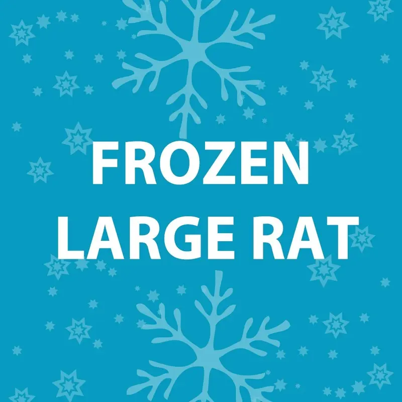 Feeder Rat - Frozen Large