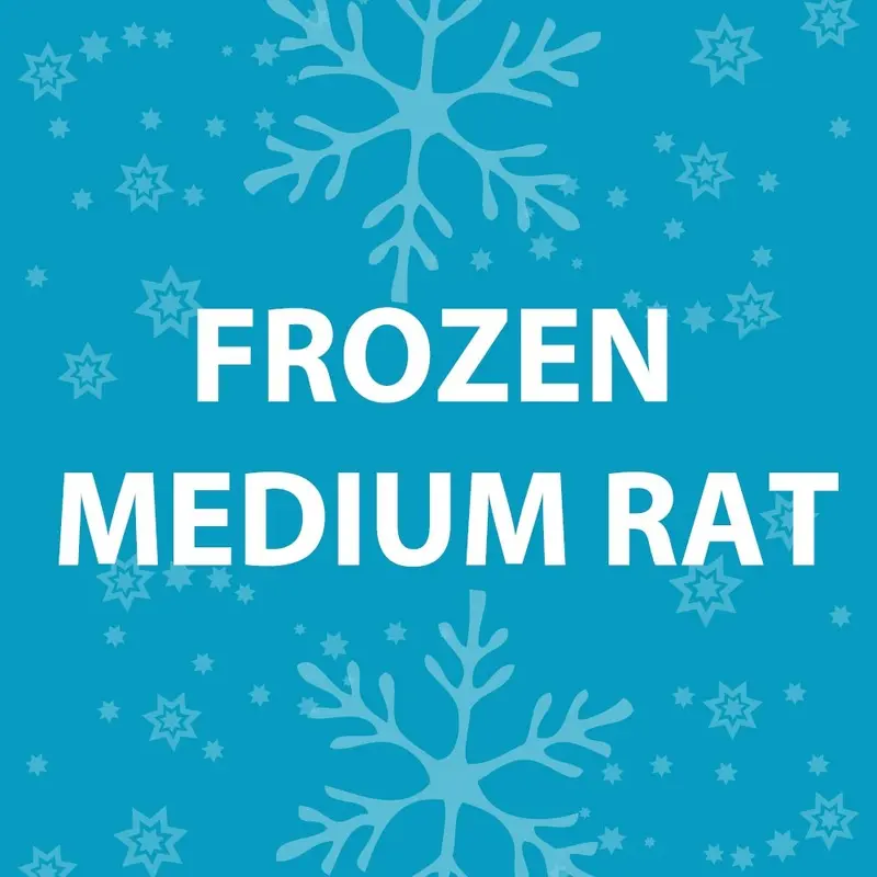 Feeder Rat - Frozen Medium
