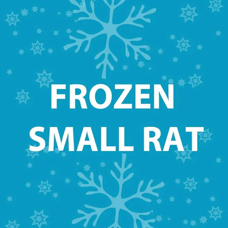 Feeder Rat - Frozen Small
