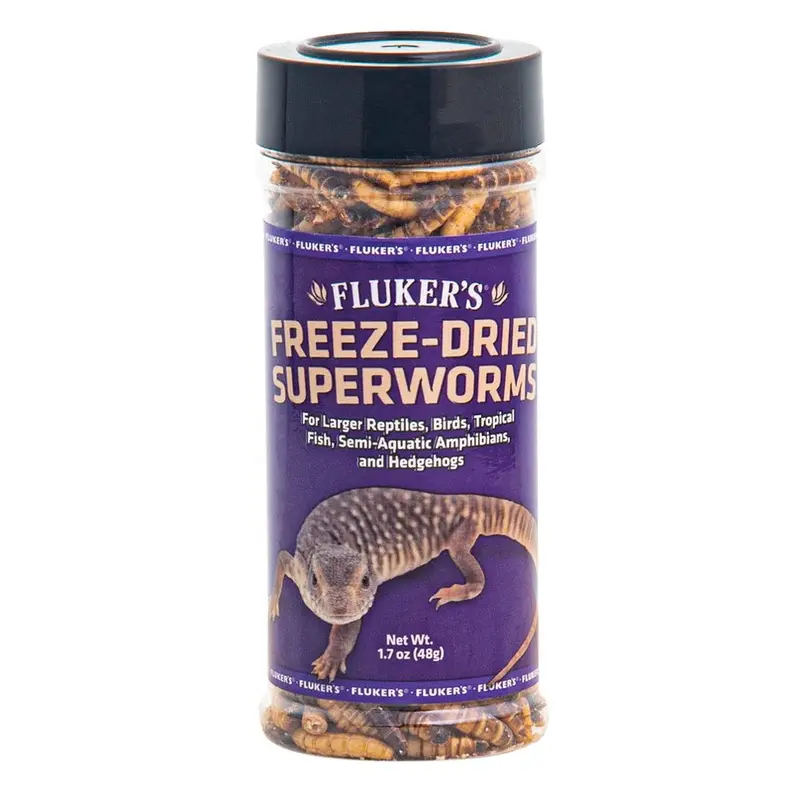 Flukers FD Feeders - Superworms - 1.7oz
