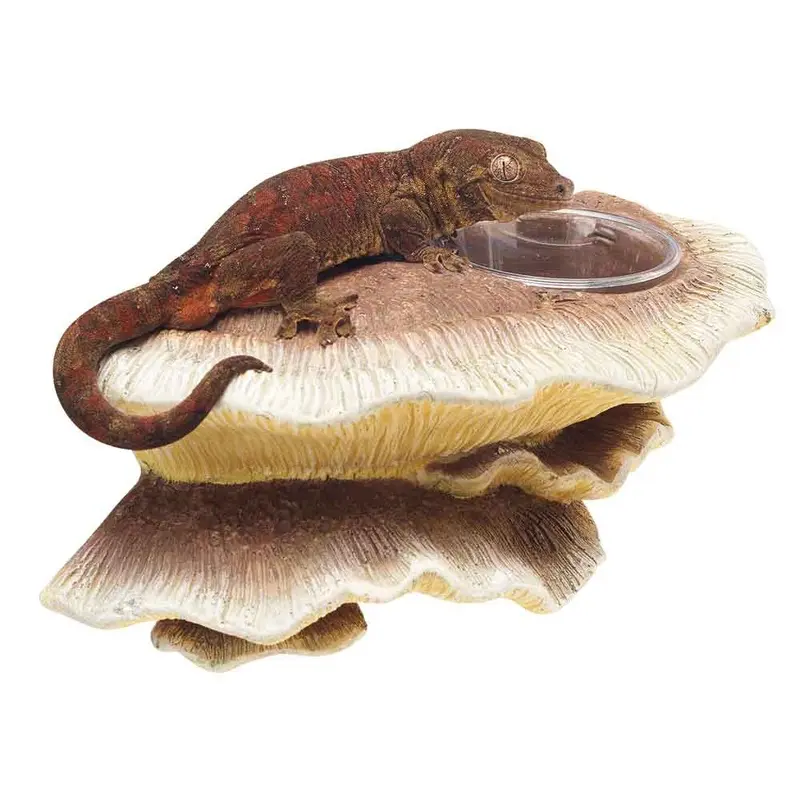 Zilla - Mushroom Feeding Ledge