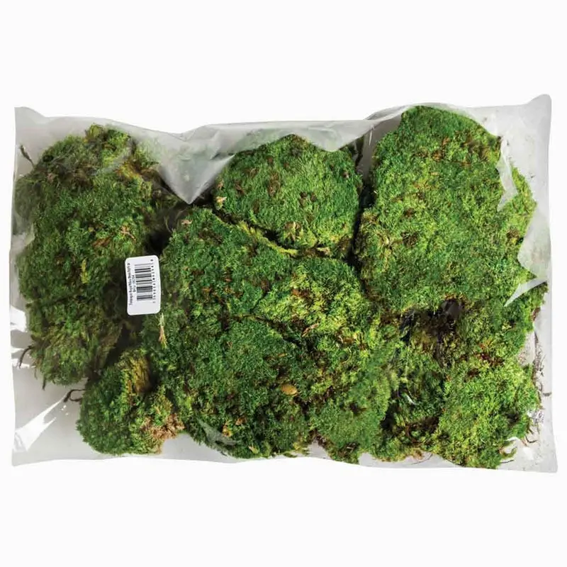 Galapagos - Royal Pillow Moss 8qt.