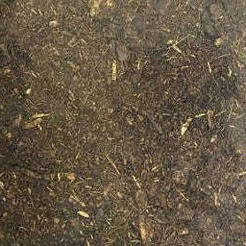 Keepers Choice - Tropical Forest BioActive Mix - 40 qt