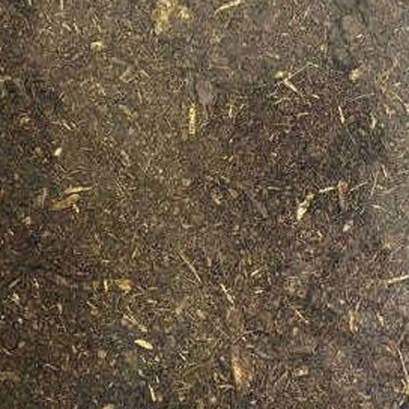 Keepers Choice - Tropical Forest BioActive Mix - 8 qt