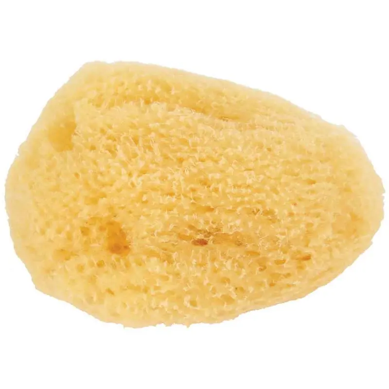 Zoo Med - Hermit Crab Sea Sponge