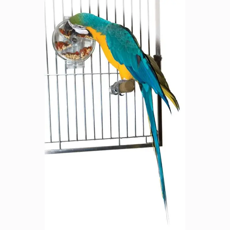 Foraging Wheel for Birds