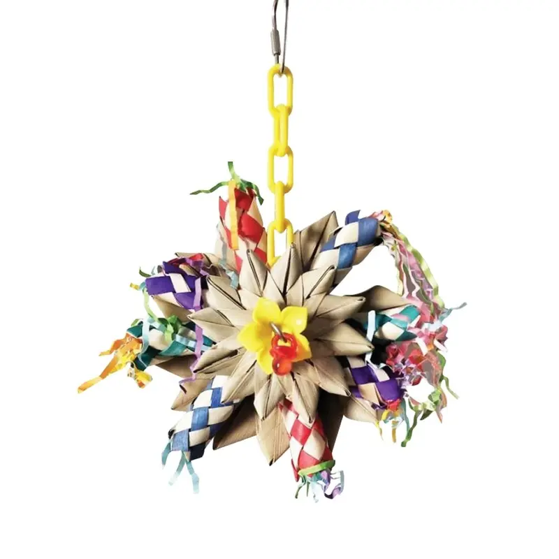 HAPPY BEAK BIRD TOY - PINWHEEL