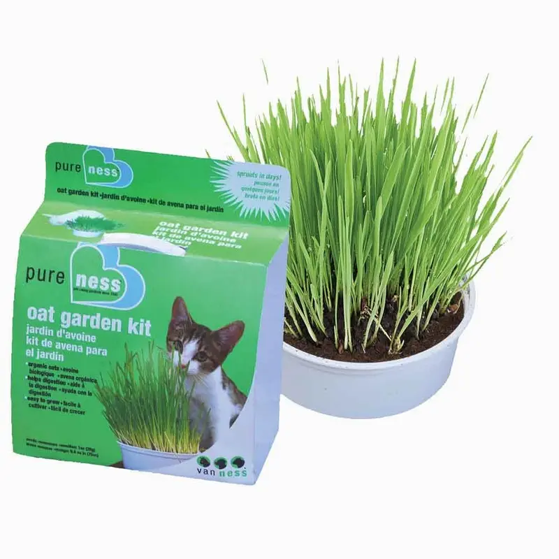 Pure-Ness Oat Garden Kit