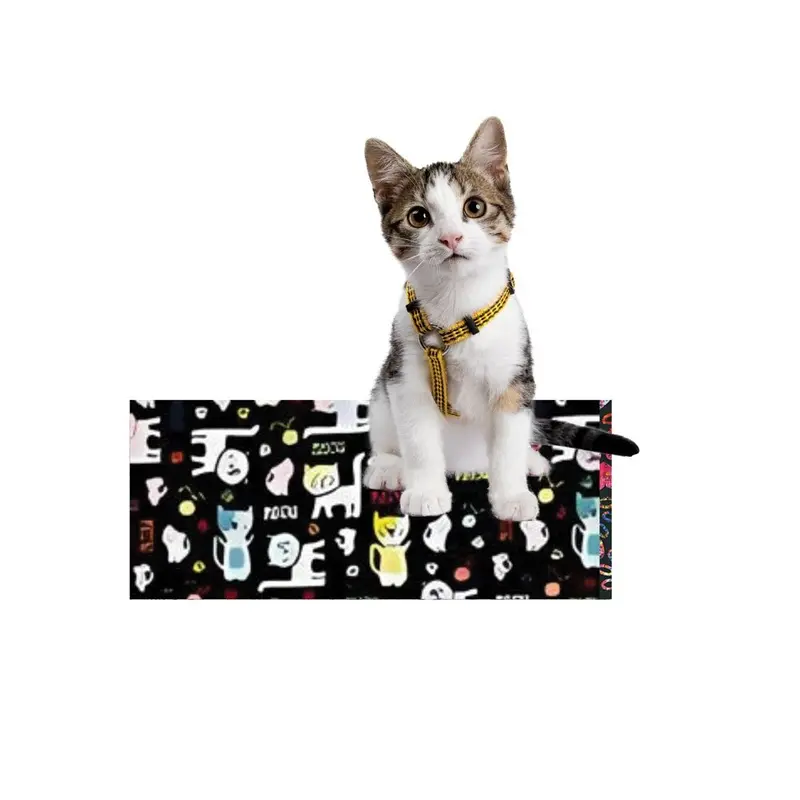 W&W - Crinkle Catnip Mat w/ Cushion 11x17in.