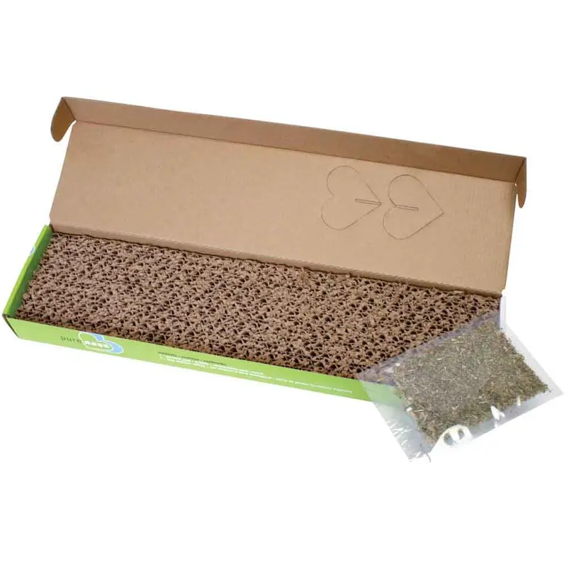 PureNess Scratch Pad - Single