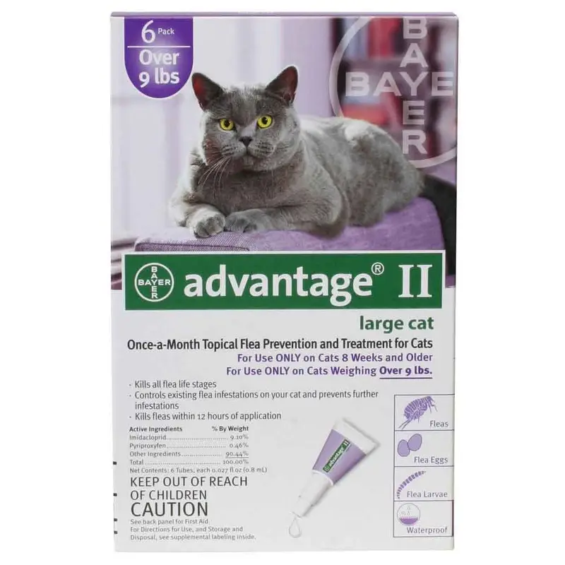 Advantage II Large Cat over 9lbs - 6 pack Purple