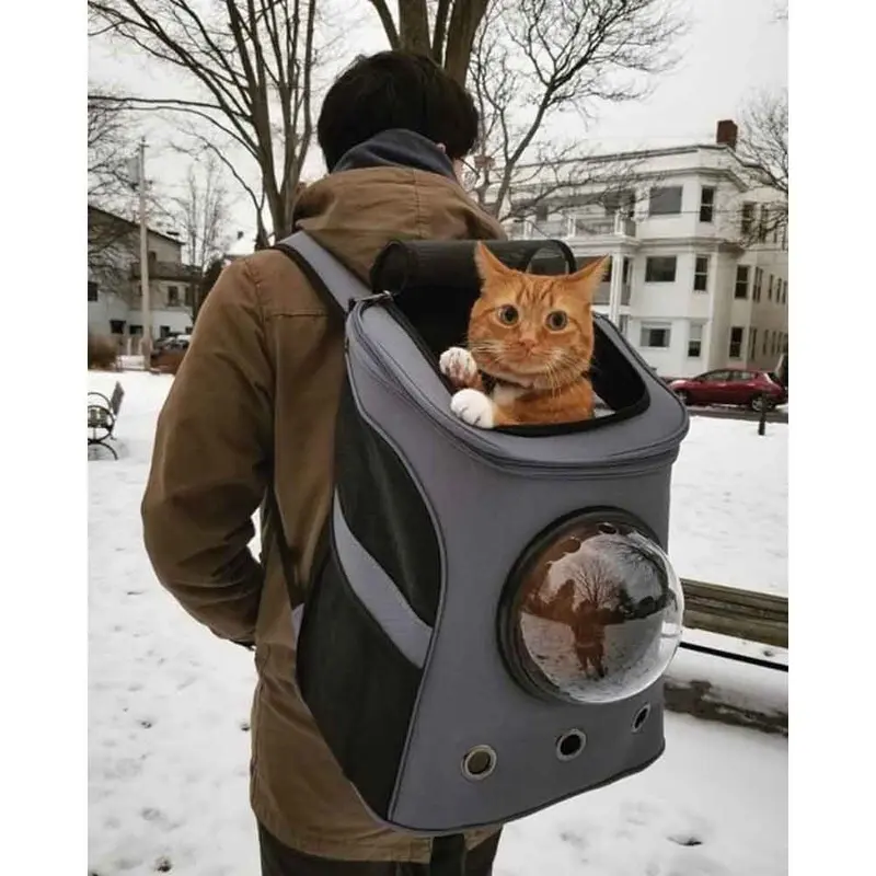The Fat Cat Backpack - Charcoal - 15 in x 11.4 in x 17.7 in