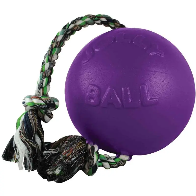 Jolly Pets - Romp N Roll Ball - Purple - Large