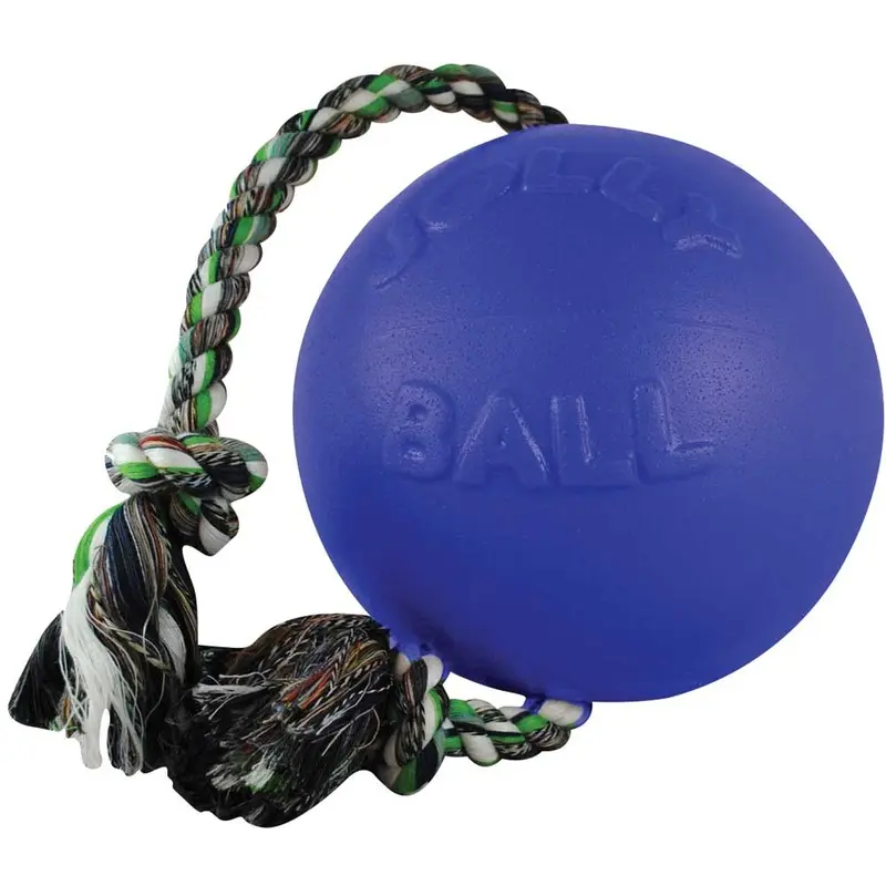 Jolly Pets Dog Toy - Romp-N-Roll Ball - Blue - Lg