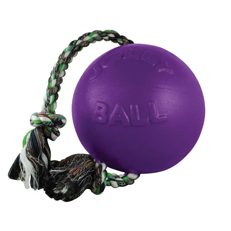 Jolly Pets Dog Toy - Romp-N-Roll Ball - Purple - Md
