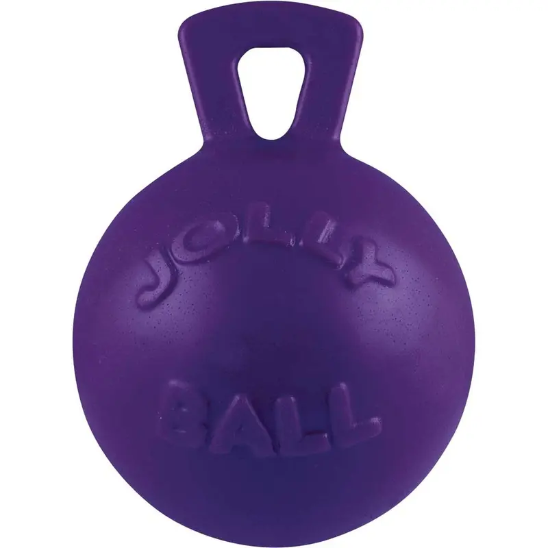 Jolly Pets Dog Toy - Tug-N-Toss Ball - Purple - Lg