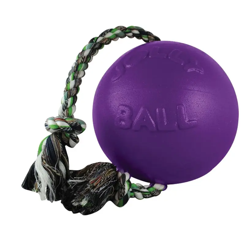 Jolly Pets Dog Toy - Romp-N-Roll Ball - Purple - Sm