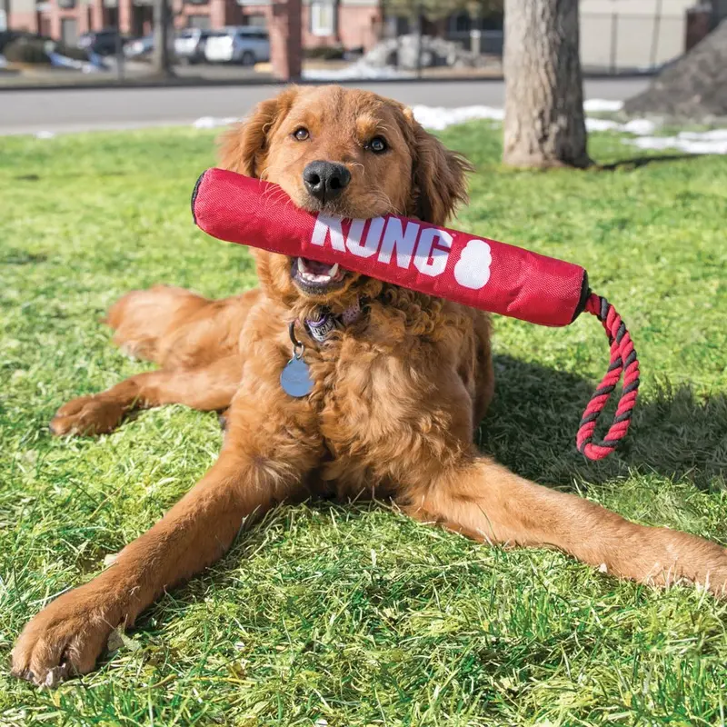 Kong - Stick With Rope Toy