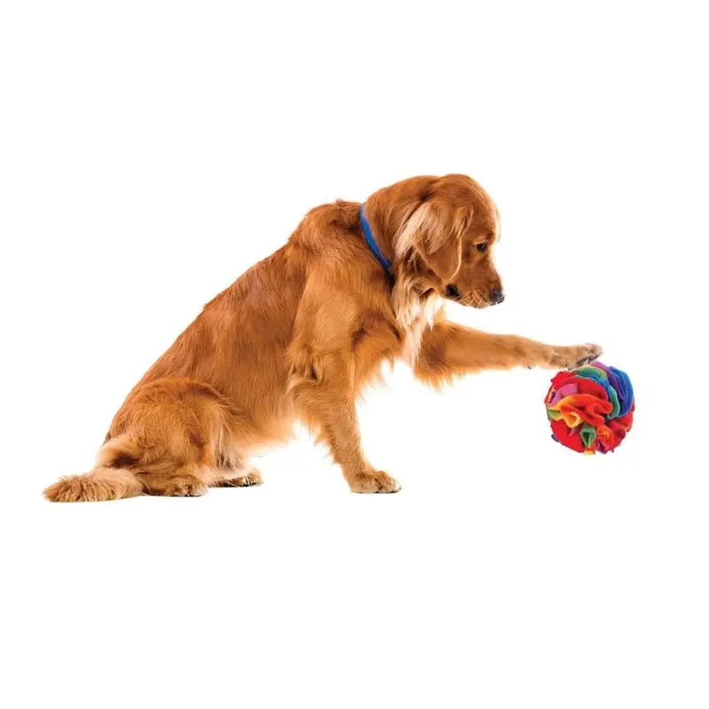 Wags & Wiggles - Small Snuffle Ball