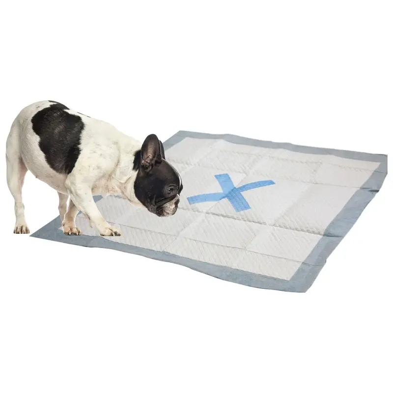 Spot - X Marks the Spot Puppy Pads 22x22in. 50pk.
