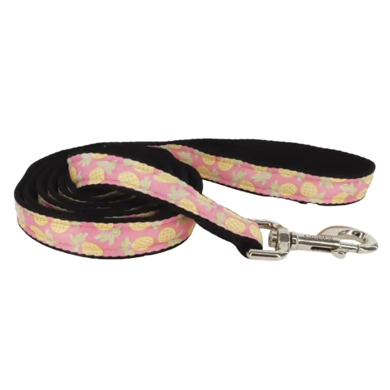 Coastal - Styes Pineapples Leash 1inx6ft