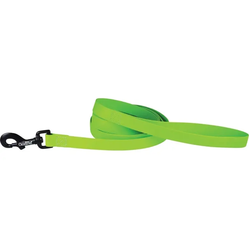 Carnival Biothane Dog Leash - Lime Green - 3/4 in x 6 ft