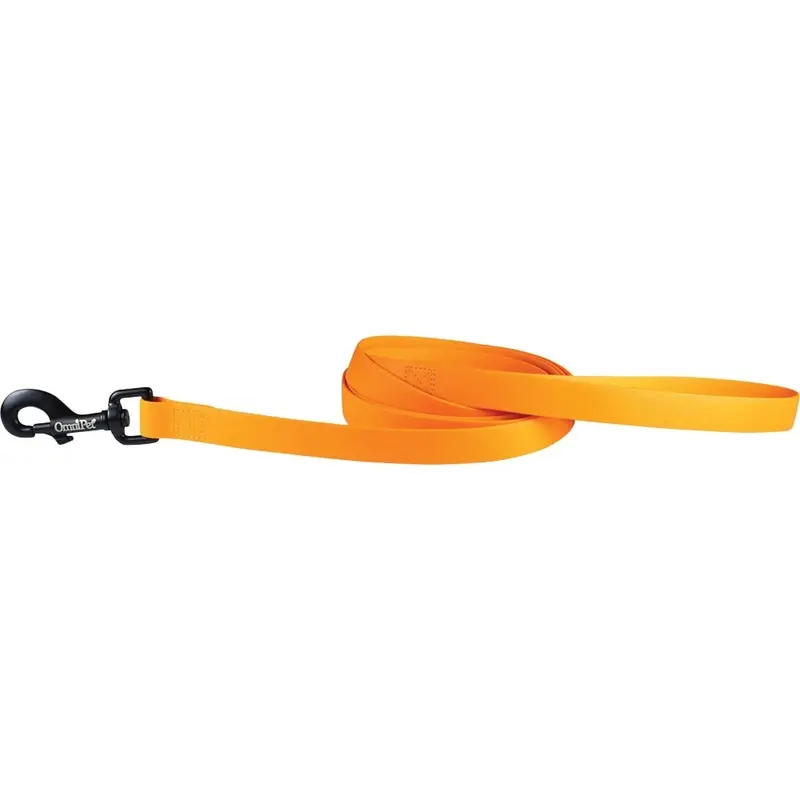 Carnival Biothane Dog Leash - Orange - 3/4 in x 6 ft