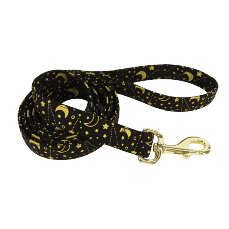 Coastal - Accent Black Galaxy Leash 1inx6ft