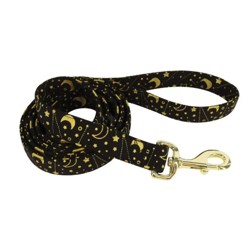 Coastal - Accent Black Galaxy Leash 5/8inx6ft