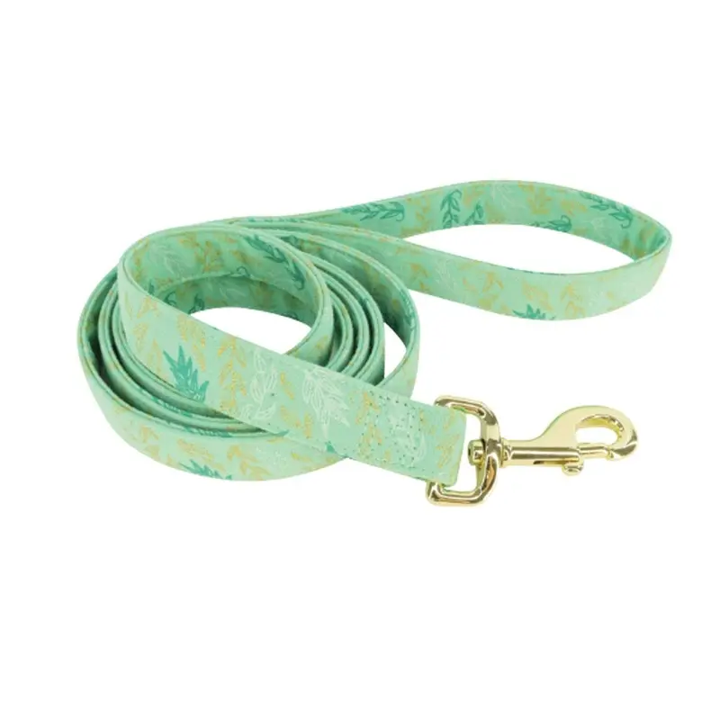Coastal - Accent Green Leaves Leash 5/8inx6ft