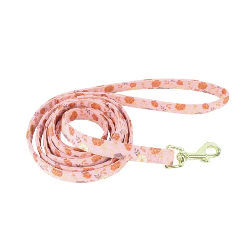 Coastal - Accent Pink Flowers Leash 1inx6ft