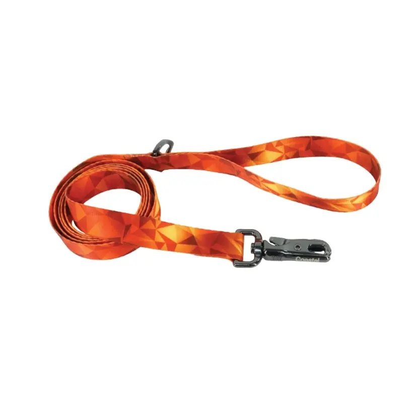 Coastal - Inspire Blazing Shards Leash 1inx6ft