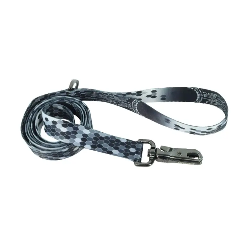 Coastal - Inspire Digital Matrix Leash 1inx6ft