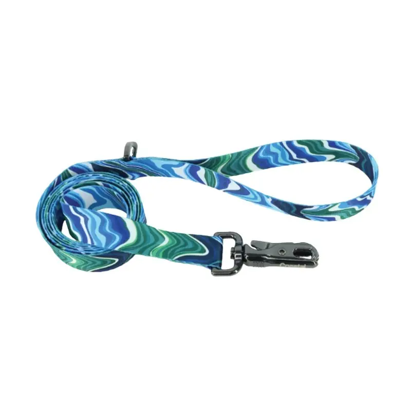 Coastal - Inspire Malachite Magic Leash 1inx6ft