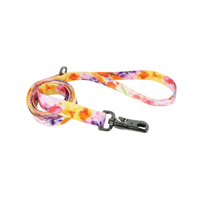 Coastal - Inspire Sherbet Blooms Leash 5/8inx6ft