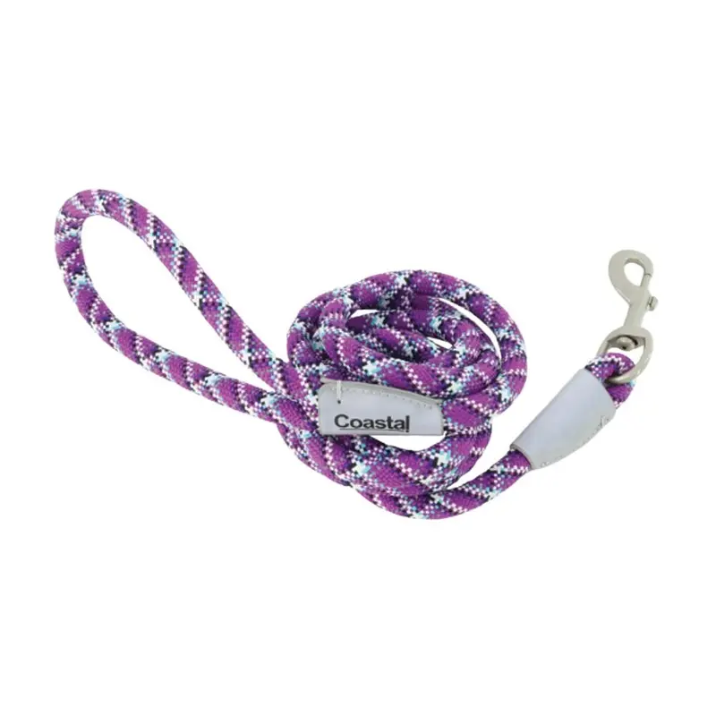 Coastal - Pro Active Woven Violet Leash 1inx6ft