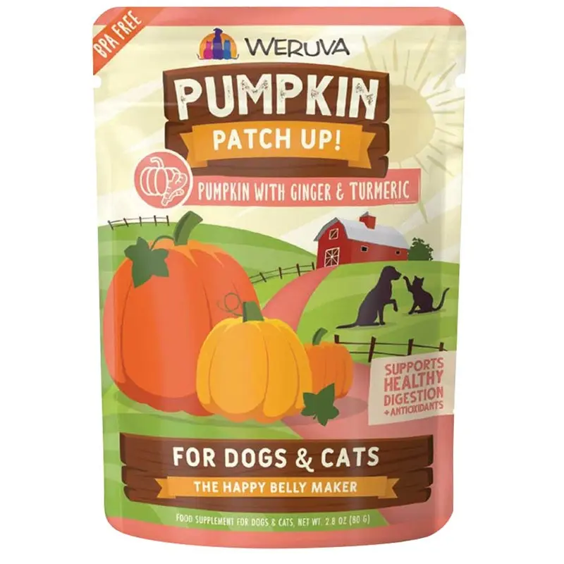 Weruva Pumpkin Patch Up - Dog and Cat - Pumpkin Ginger - 1.05 oz
