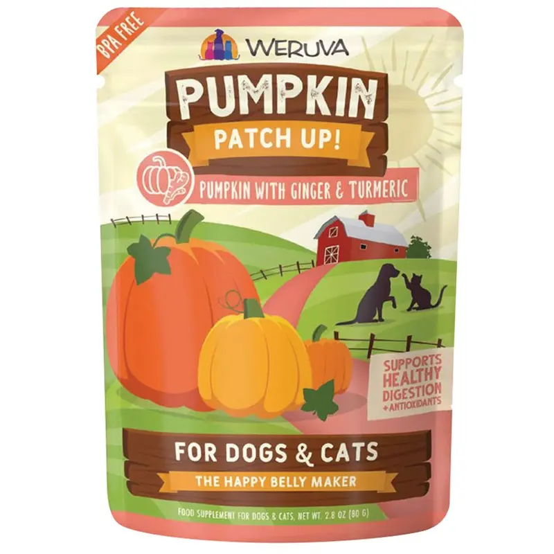 Weruva Pumpkin Patch Up - Dog and Cat - Pumpkin Ginger - 2.8 oz