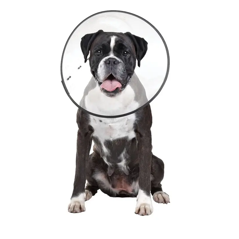 E-Clear - Plastic E-Collar - Lg