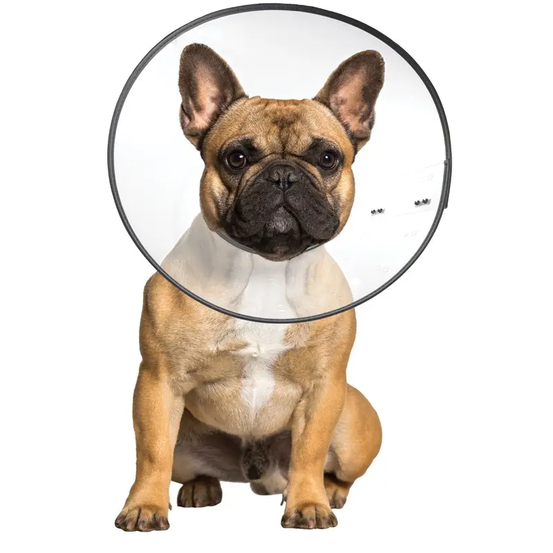 E-Clear - Plastic E-Collar - Md