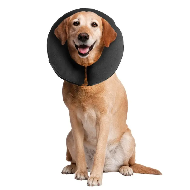 ZenCollar - Inflatable Recovery Collar - XL