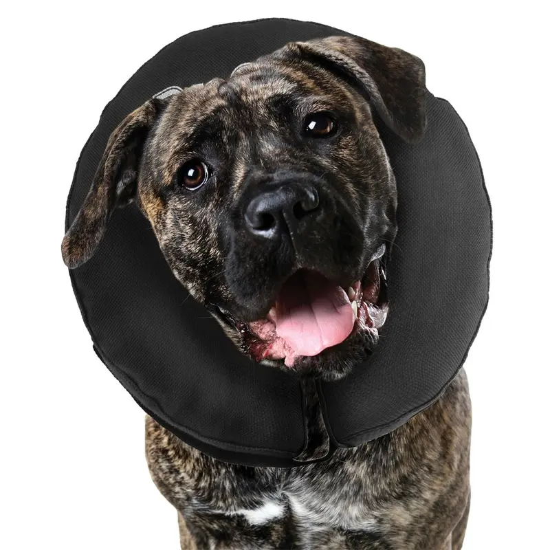 ZenCollar - Inflatable Recovery Collar - XXL