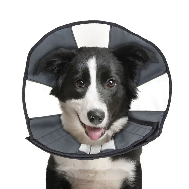 ZenCone - Soft Recovery Collar w Windows - Lg