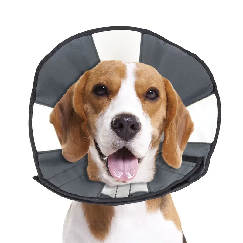 ZenCone - Soft Recovery Collar w Windows - Md