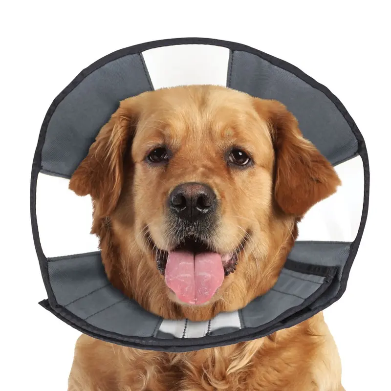 ZenCone - Soft Recovery Collar w Windows - XL