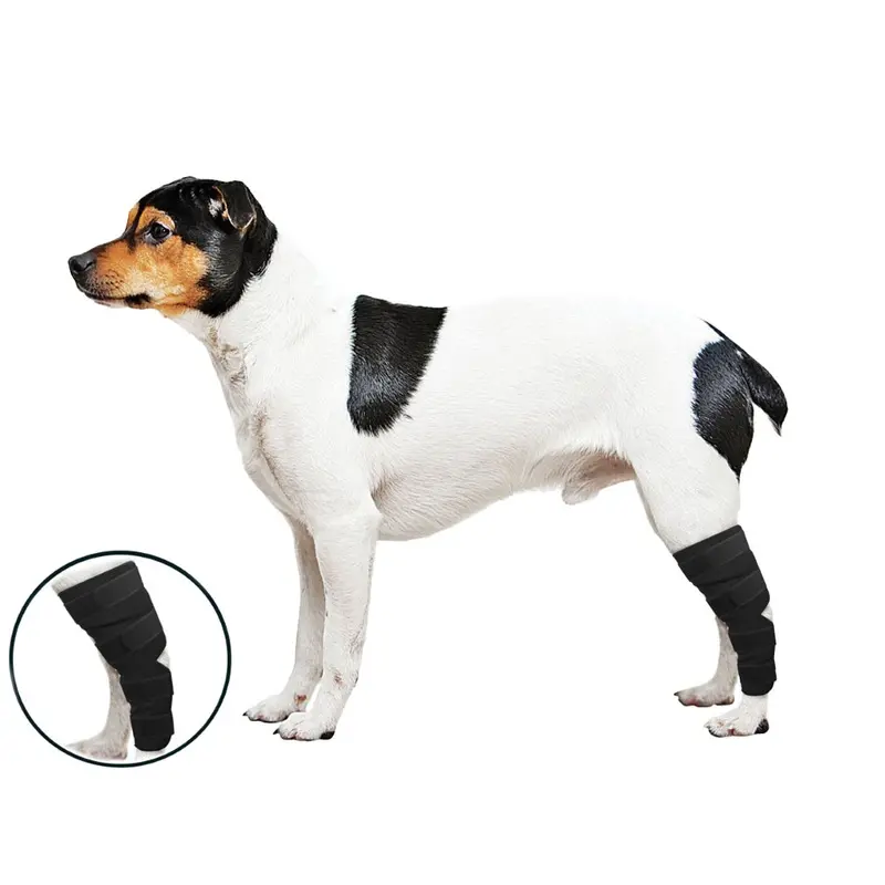 ZenWraps - Back Leg Hock Protector - Md