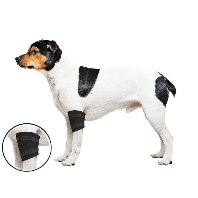 ZenWraps - Front Leg Elbow Protector - Sm