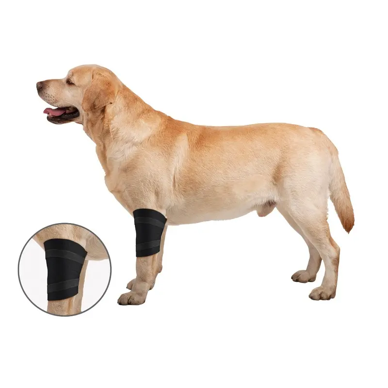 ZenWraps - Front Leg Elbow Protector - XL