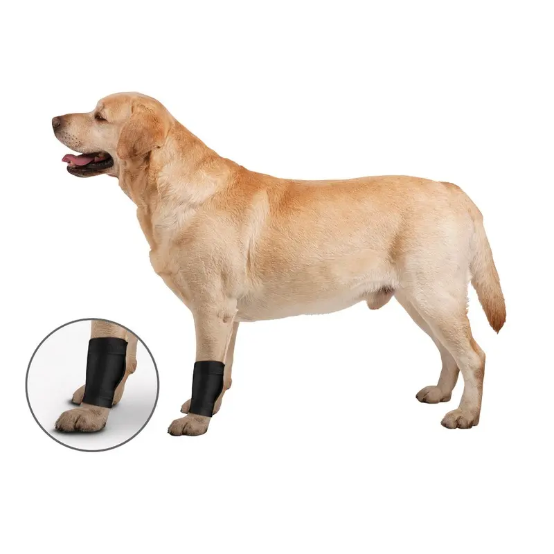 ZenWraps - Universal Ligament Protector - Lg