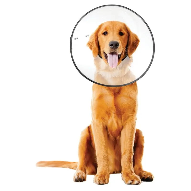 E-Clear - Plastic E-Collar - XL